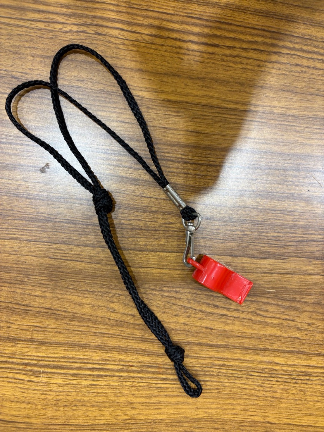 IMG_1598